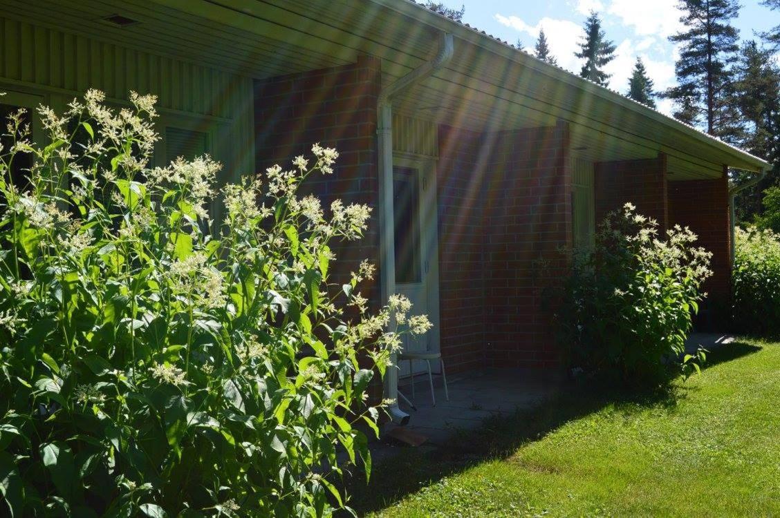 Ravintola Tiilikka 2*